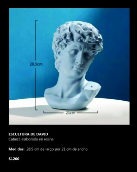 Escultura de David