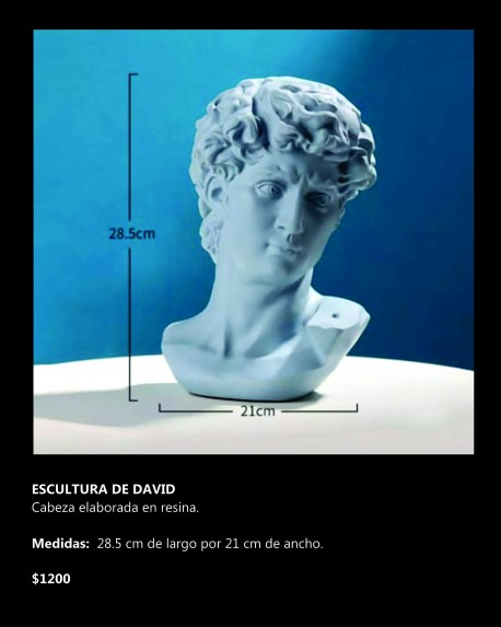 Escultura de David